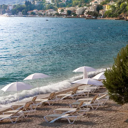 Tui Blue Adriatic - Adults Only 4* Живогоще