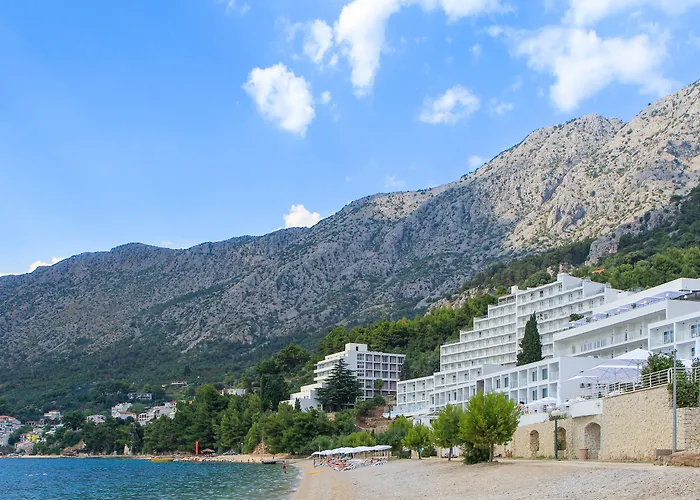 Отель Tui Blue Adriatic - Adults Only 4*